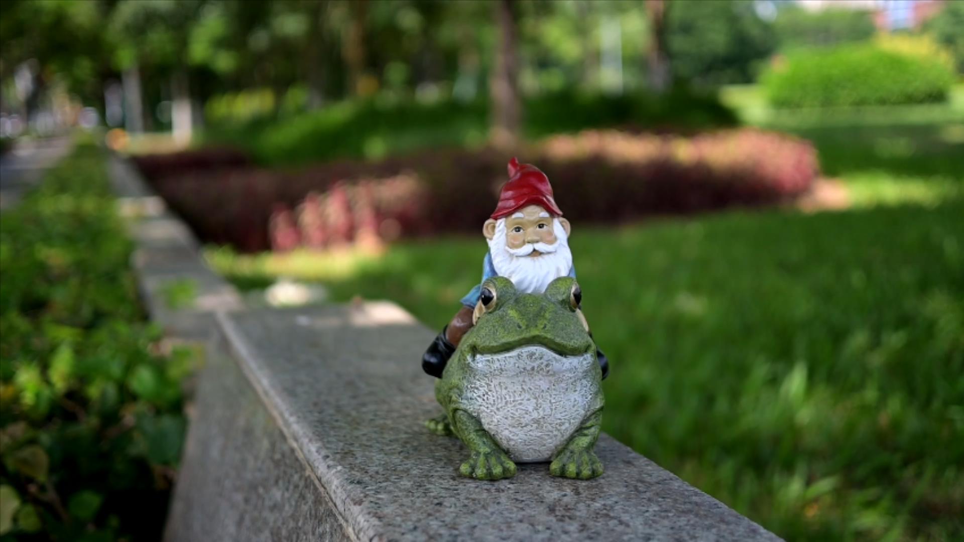 Amazon.com : FICITI Garden Gnome Riding on Frog, Outdoor Garden